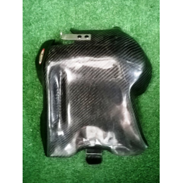 PARAMOTORE CARBONIO GG 2001-2011