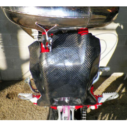 CARBON ENGINE GUARD BETA RR 250-300 2T