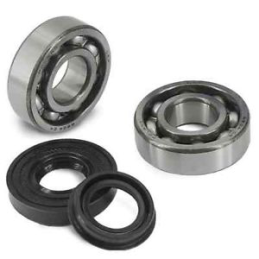 CRANKSHAFT BEARINGS KIT 200-250-300