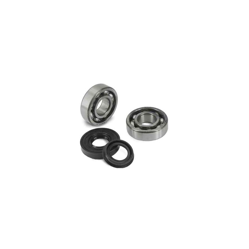 CRANKSHAFT BEARINGS KIT 200-250-300