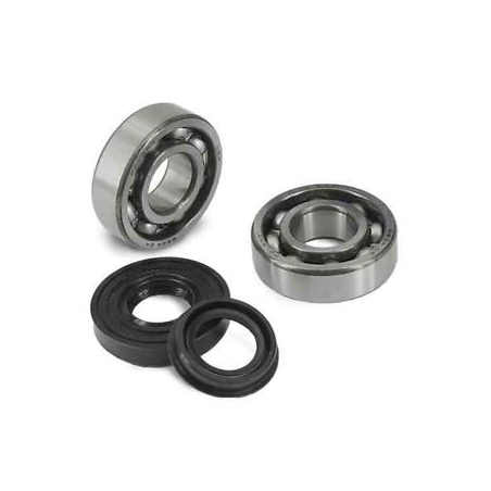 CRANKSHAFT BEARINGS KIT 200-250-300