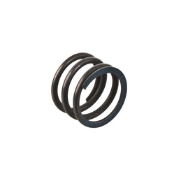 EXHAUST VALVE SPRING EC 200-250-300