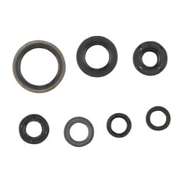 ENGINE SEAL KIT TXT 250-270-280 99-02