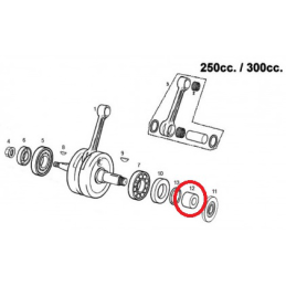 BOCCOLA ALBERO MOTORE 250-300 2T
