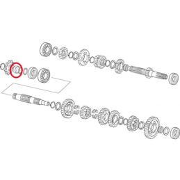 BOCCOLA PIGNONE EC 200-250-300 2T