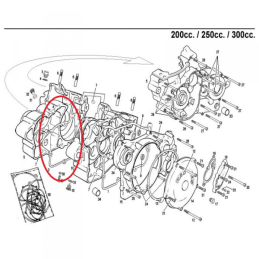 CENTRAL CRANKCASE GASKET 96-04