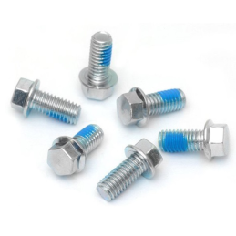 BRAKE DISC SCREW KIT