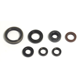 ENGINE SEAL KIT GG 250-300 4T 10-15