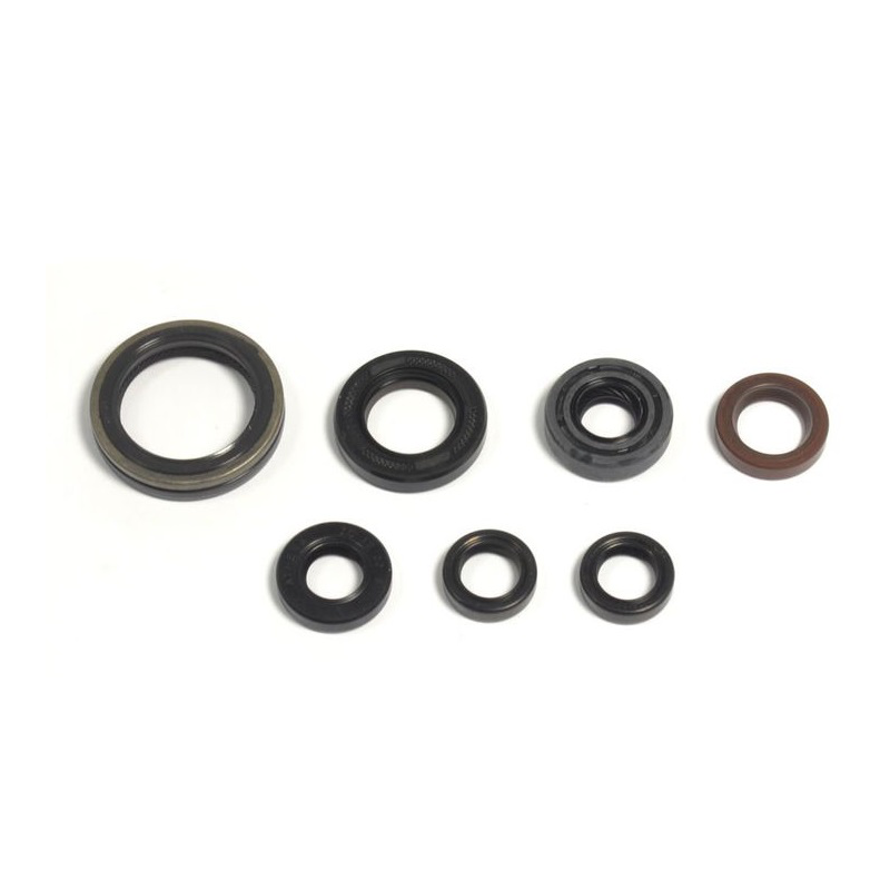 ENGINE SEAL KIT GG 250-300 4T 10-15