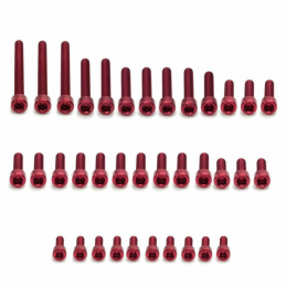 RED ENGINE BOLT KIT GASGAS 14-20