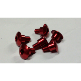FORK PROTECTORS SCREWS 