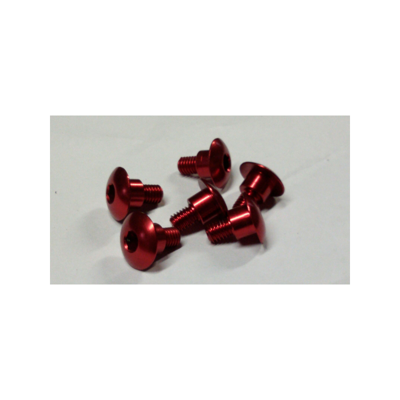 FORK PROTECTORS SCREWS 