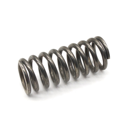 CLUTCH SPRING 200-250-300