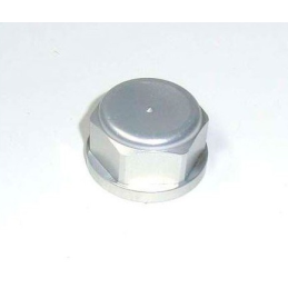 REAR WHEEL AXIS NUT 18-20