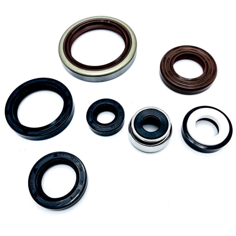 OEM ENGINE SEAL KIT GG 250-300 2T