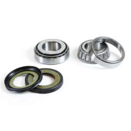 BWX DIRECTION BEARINGS KIT MR 20-22