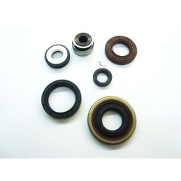 ENGINE SEAL KIT GASGAS 125...