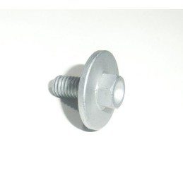 KICK STARTER SCREW RIEJU 20-24
