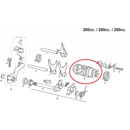 DESMODROMICO GASGAS 200-250-300 2T