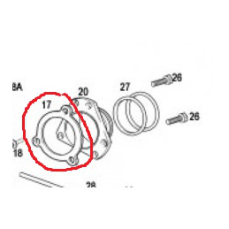 EXHAUST GASKET EC 200-250-300 2T