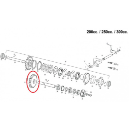 INGRAN. POMPA ACQUA EC 250-300