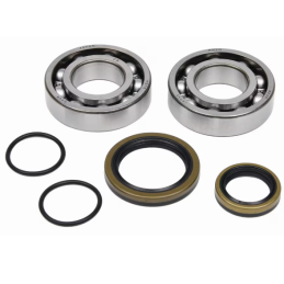 ALLBALLS CRANKSHAFT REPAIR...