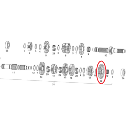 SECUNDARY PINION I Z29