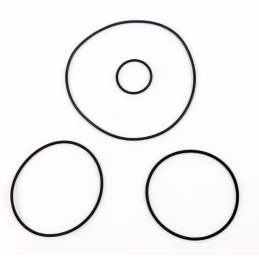 O-RING TESTA GASGAS 125 2T...