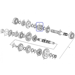 PRIMARY GEAR III/IV