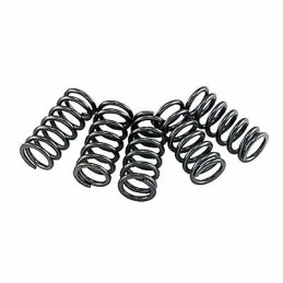 EBC CLUTCH SPRINGS GASGAS...