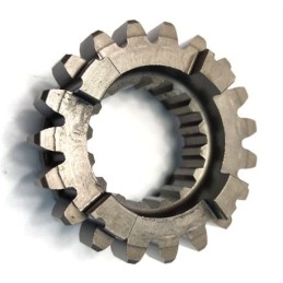 PIGNONE SECONDARIO VI