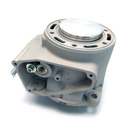 CYLINDER+PISTON+VALVE KIT...