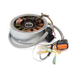 FLYWHEEL+STATOR GASGAS TXT...