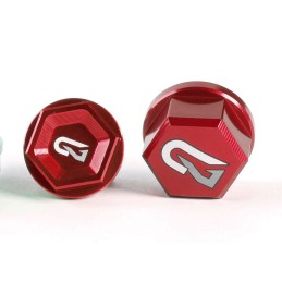 COPPIA DADI RUOTA GECO...