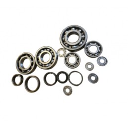 ENGINE BEARINGS KIT GASGAS...