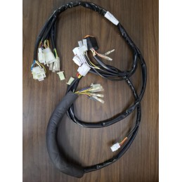 ELECTRIC HARNESS GASGAS...