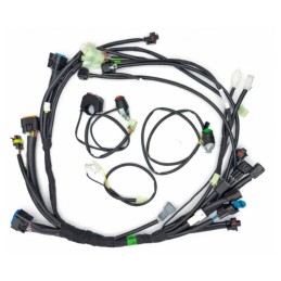 ELECTRIC HARNESS LITE RIEJU...