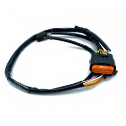 CABLAGGIO CENTRALINA GASGAS...