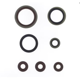 KIT PARAOLI MOTORE ATHENA...