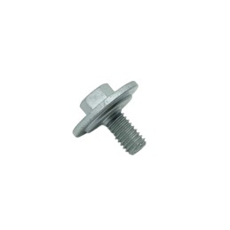 KICK STARTER SCREW RIEJU MR...