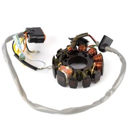 KOKUSAN STATOR GASGAS TXT...