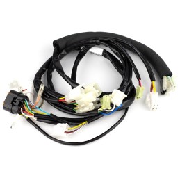 ELECTRIC HARNESS GASGAS...