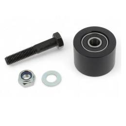 INFERIOR CHAIN ROLLER WITH...