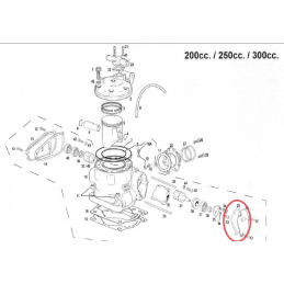 Guarnizione valvola di scarico DX