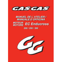 MANUALE OFFICINA GASGAS 250-300