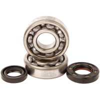 BEARINGS & SEALS - GASGAS ENDURO